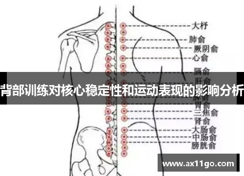 背部训练对核心稳定性和运动表现的影响分析