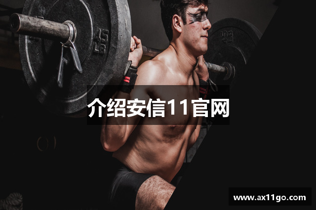 介绍安信11官网